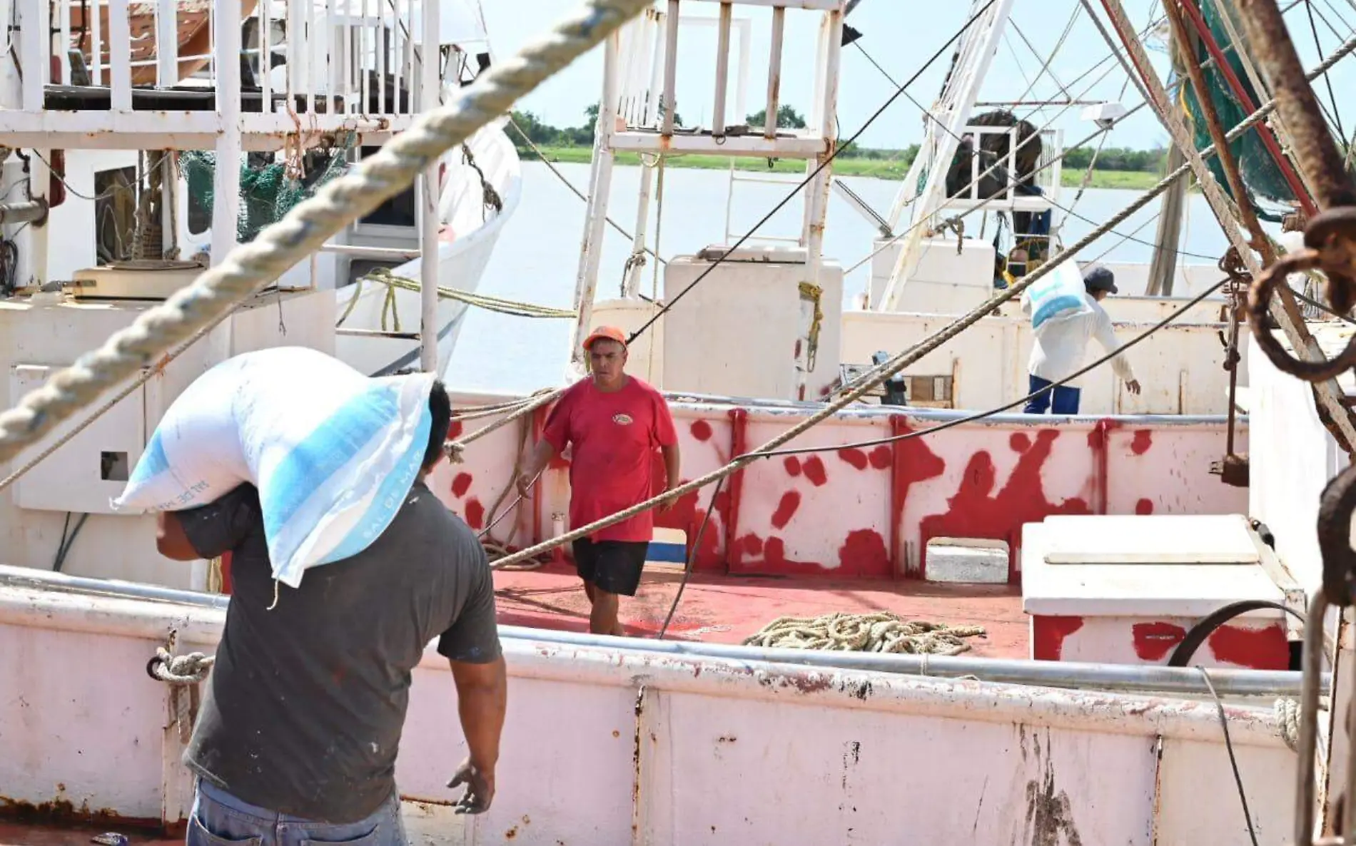 El cambio climático y la sobreexplotación colapsan a pescadores de Tamaulipas 